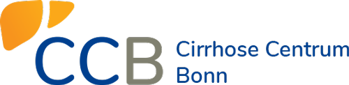  CCB